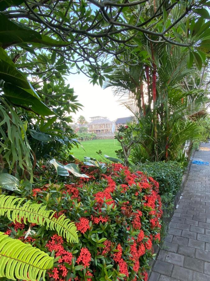 Krisna Homestay Canggu  Luaran gambar